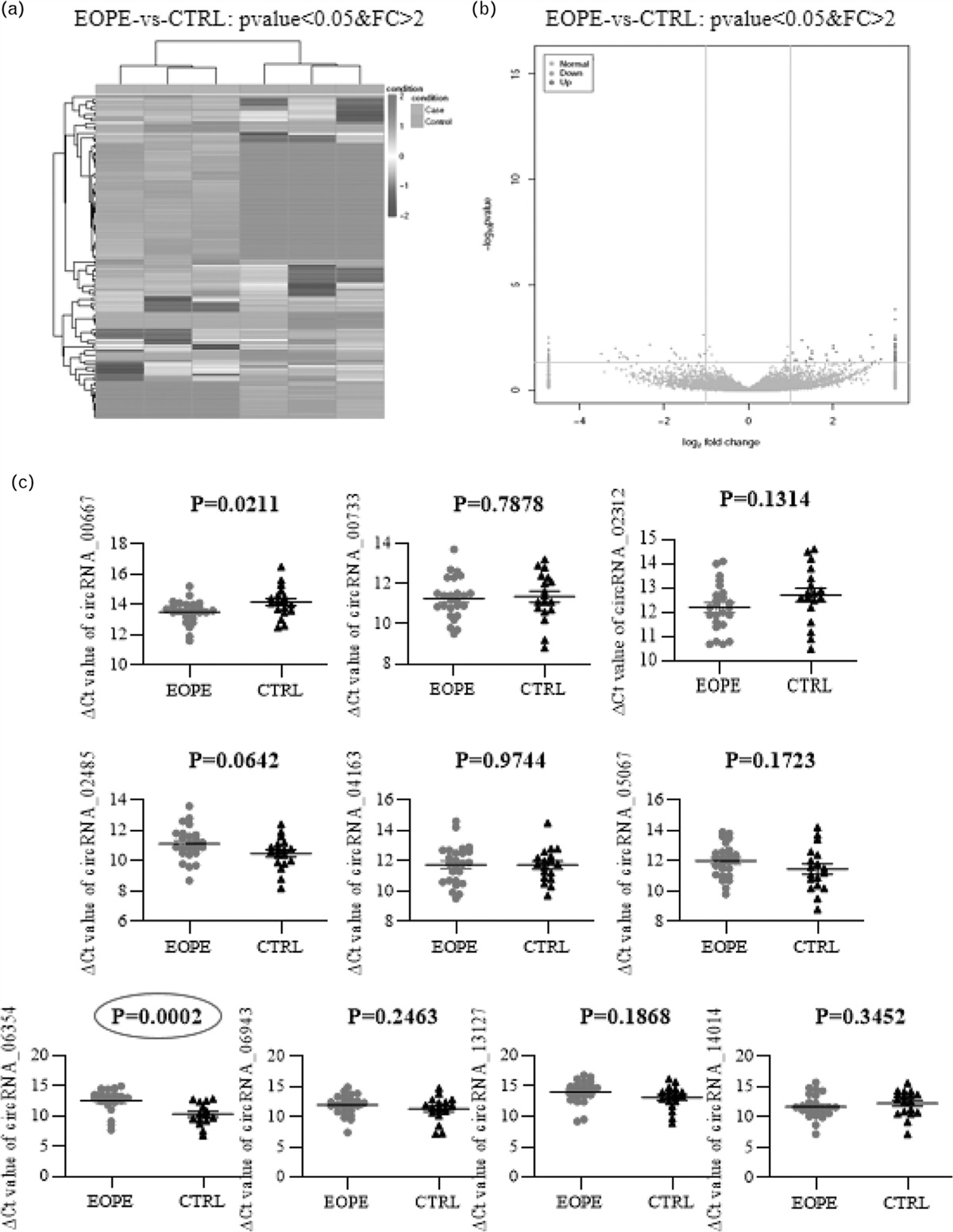 CircRNA_06354 might promote early-onset preeclampsia in humans via hsa-miR-92a-3p/vascular endothelial growth factor-A