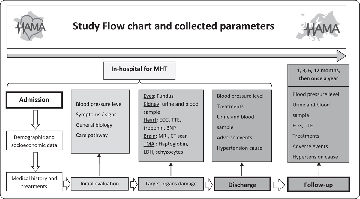 Revisiting malignant hypertension: rationale and design of the ‘HAMA cohort’, on behalf of the ESH working group ‘hypertension and the kidney’