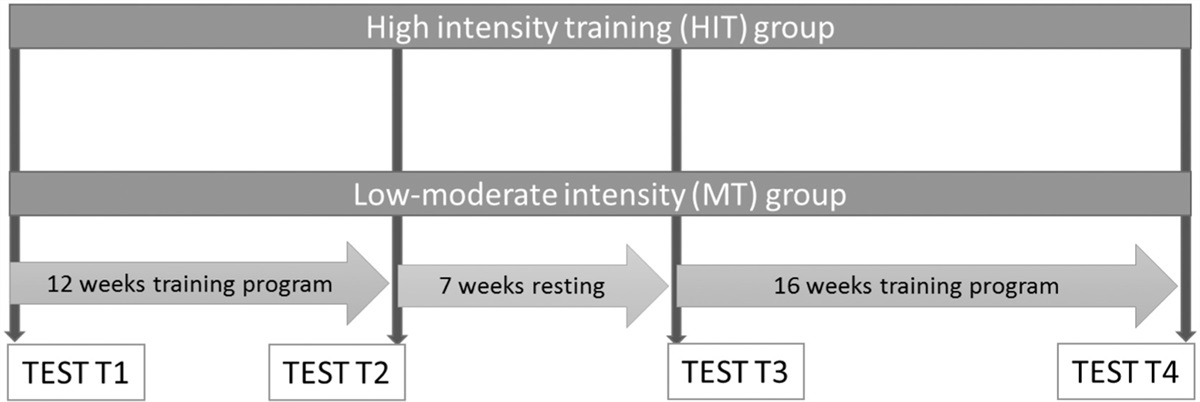 Training, detraining and retraining effects of moderate vs. high intensity exercise training programme on cardiovascular risk factors