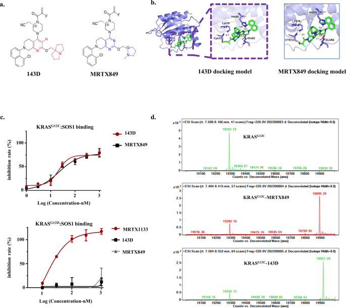 143D, a novel selective KRASG12C inhibitor exhibits potent antitumor activity in preclinical models