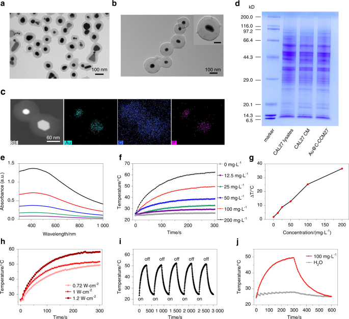 A biomimetic nanoplatform for customized photothermal therapy of HNSCC evaluated on patient-derived xenograft models