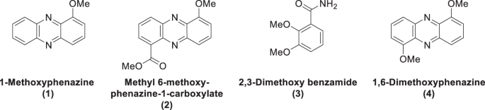 In vitro antibacterial effects of combination of ciprofloxacin with compounds isolated from Streptomyces luteireticuli NIIST-D75