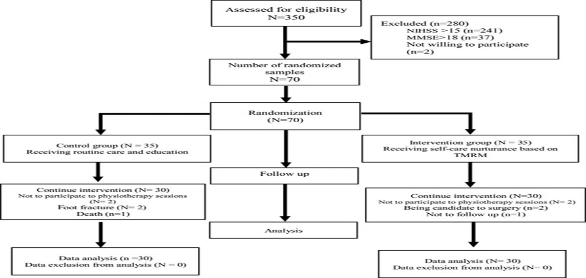 The Effect of Self-Care Nurturance Using the Theory of Modeling and Role-Modeling on Self-Efficacy in Stroke Patients: A Randomized Controlled Trial