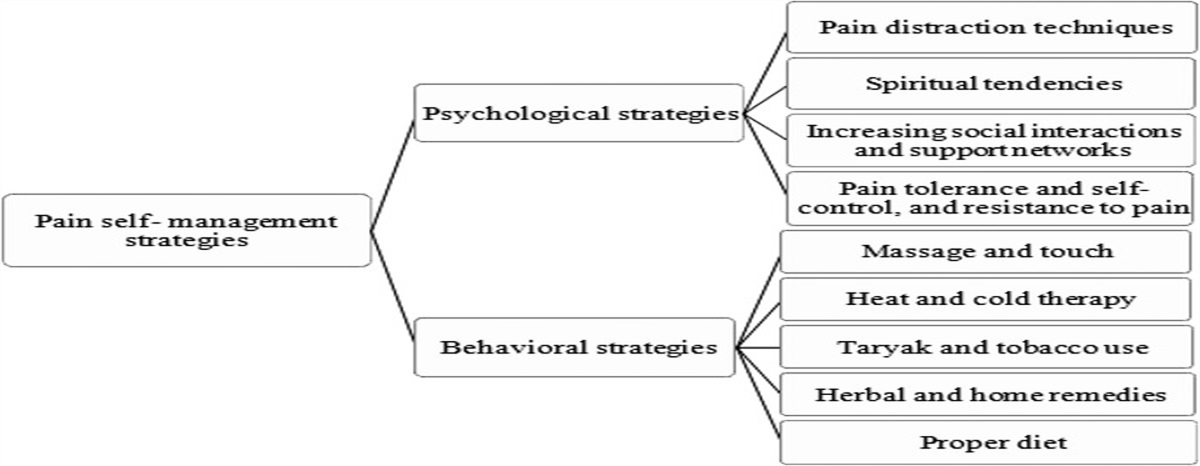 Pain Self-management Strategies in Patients With Cancer: A Qualitative Study