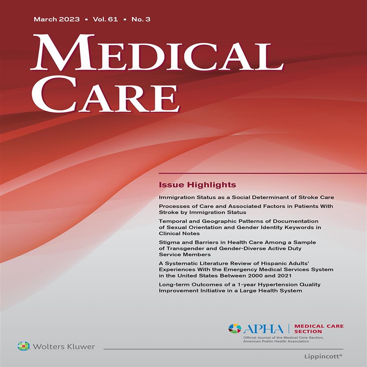 Immigration Status as a Social Determinant of Stroke Care