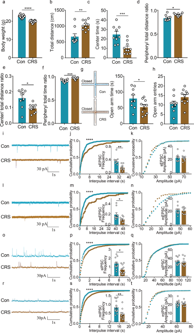 mGluR5 in hippocampal CA1 pyramidal neurons mediates stress-induced anxiety-like behavior