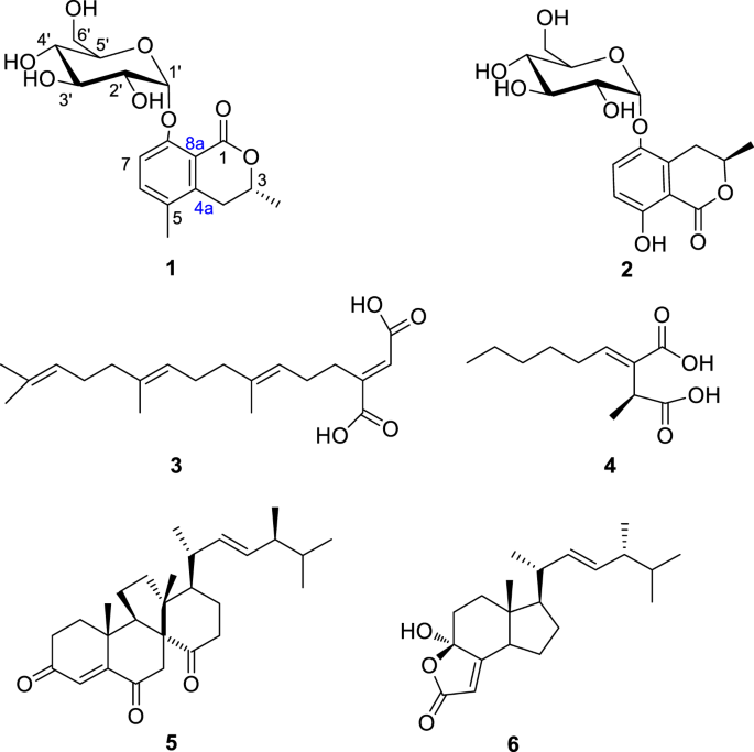 A novel biologically active xylaphenoside from the endophytic fungus Xylaria CGMCC No.5410