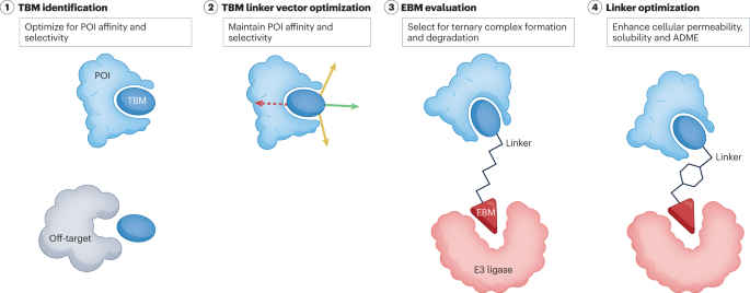 Delivering on the promise of protein degraders