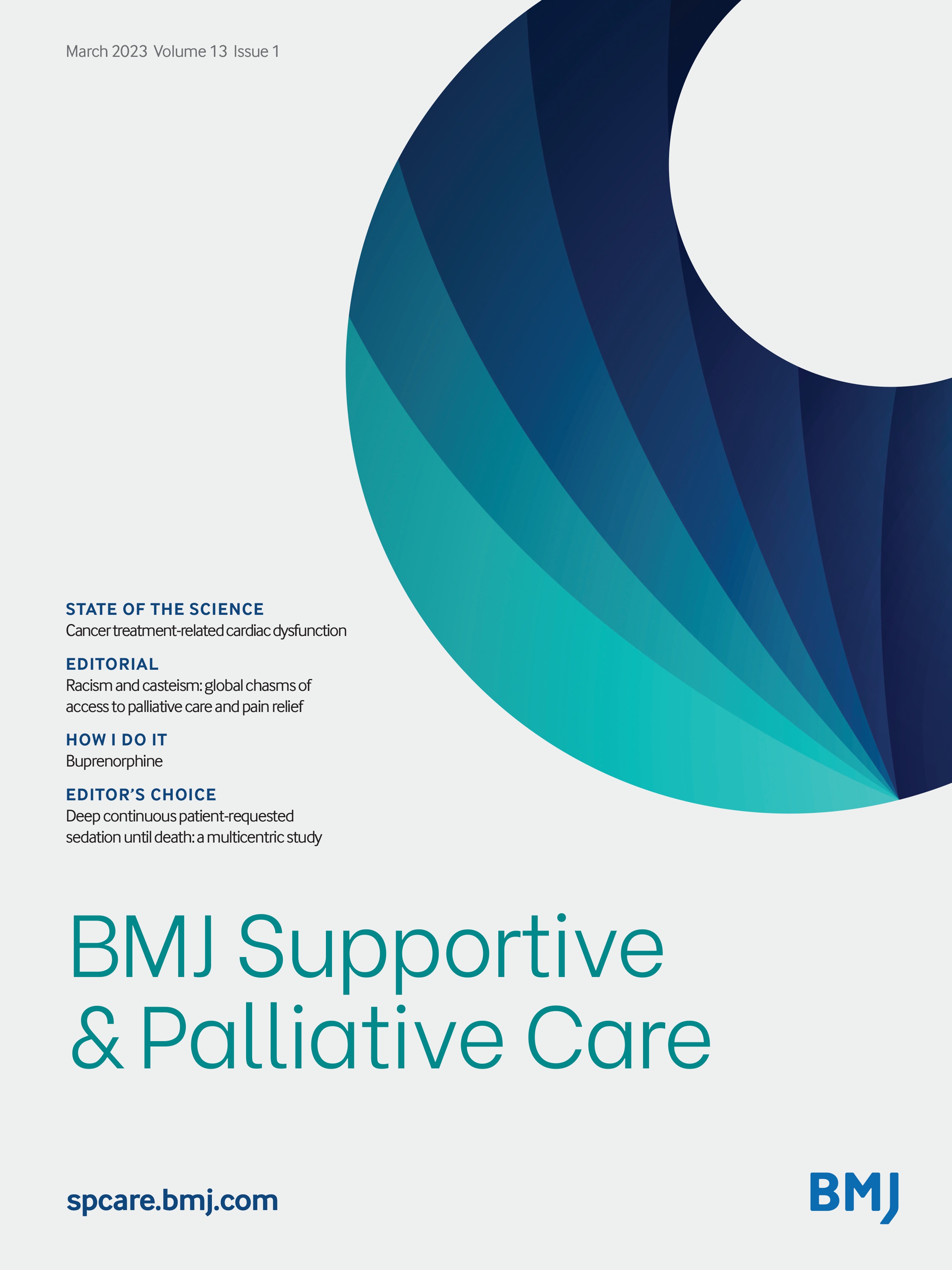 Palliative care from the perspective of cancer physicians: a qualitative semistructured interviews study