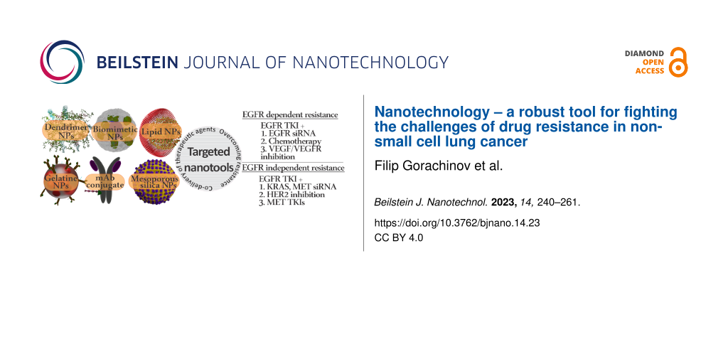 Nanotechnology – a robust tool for fighting the challenges of drug resistance in non-small cell lung cancer