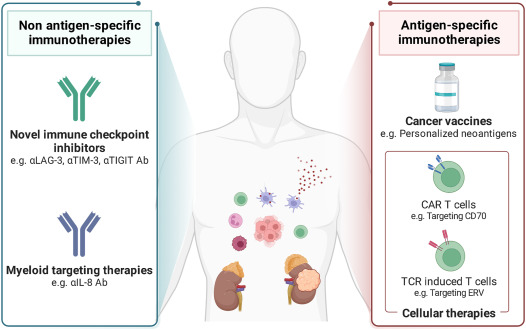 The Changing Landscape of Immunotherapy for Advanced Renal Cancer