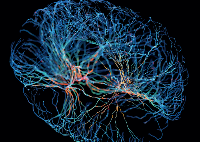 Mechanisms of addiction