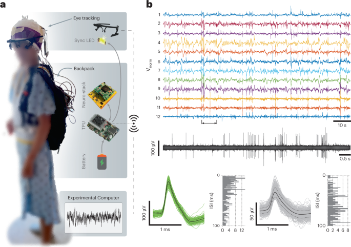Recording single-neuron activity during walking in humans