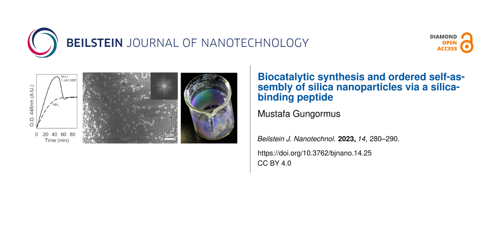 Biocatalytic synthesis and ordered self-assembly of silica nanoparticles via a silica-binding peptide