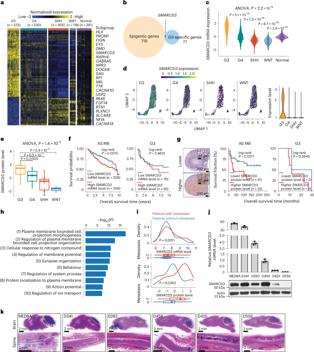 A neurodevelopmental epigenetic programme mediated by SMARCD3–DAB1–Reelin signalling is hijacked to promote medulloblastoma metastasis