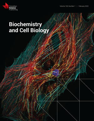 Emerging roles for heterogeneous ribonuclear proteins in normal and malignant B cells