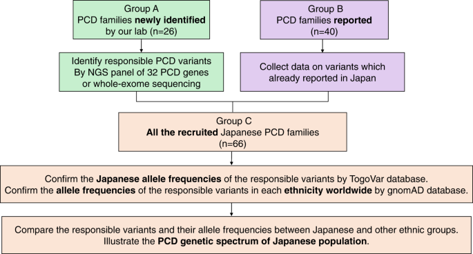 Characteristic genetic spectrum of primary ciliary dyskinesia in Japanese patients and global ethnic heterogeneity: population-based genomic variation database analysis