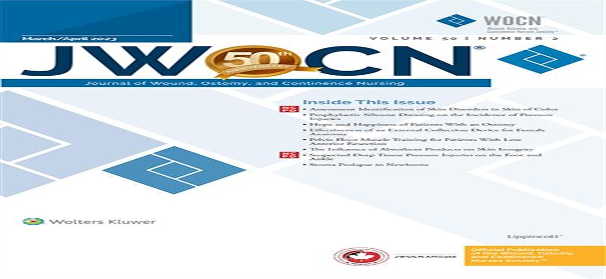 Assessment and Identification of Skin Disorders in Skin of Color: An Integrative Review