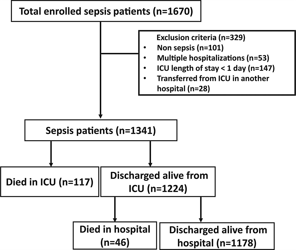 Effect of Admission and Discharge Times on Hospital Mortality in Patients With Sepsis