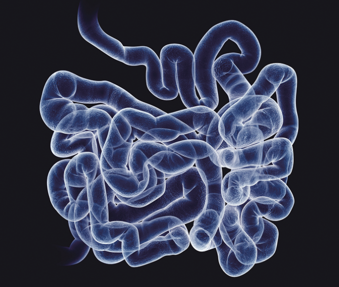 Negative regulation of AHR essential for intestinal homeostasis