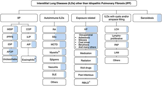 Idiopathic Pulmonary Fibrosis and Progressive Pulmonary Fibrosis
