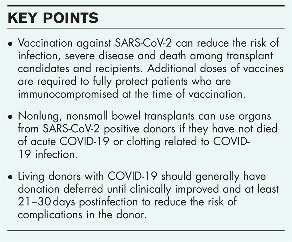 Update on Covid-19: vaccines, timing of transplant after COVID-19 infection and use of positive donors