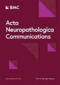 Monocyte-derived cells invade brain parenchyma and amyloid plaques in human Alzheimer’s disease hippocampus