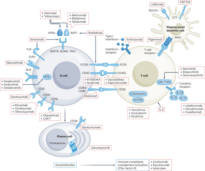 Treatment of lupus nephritis: consensus, evidence and perspectives