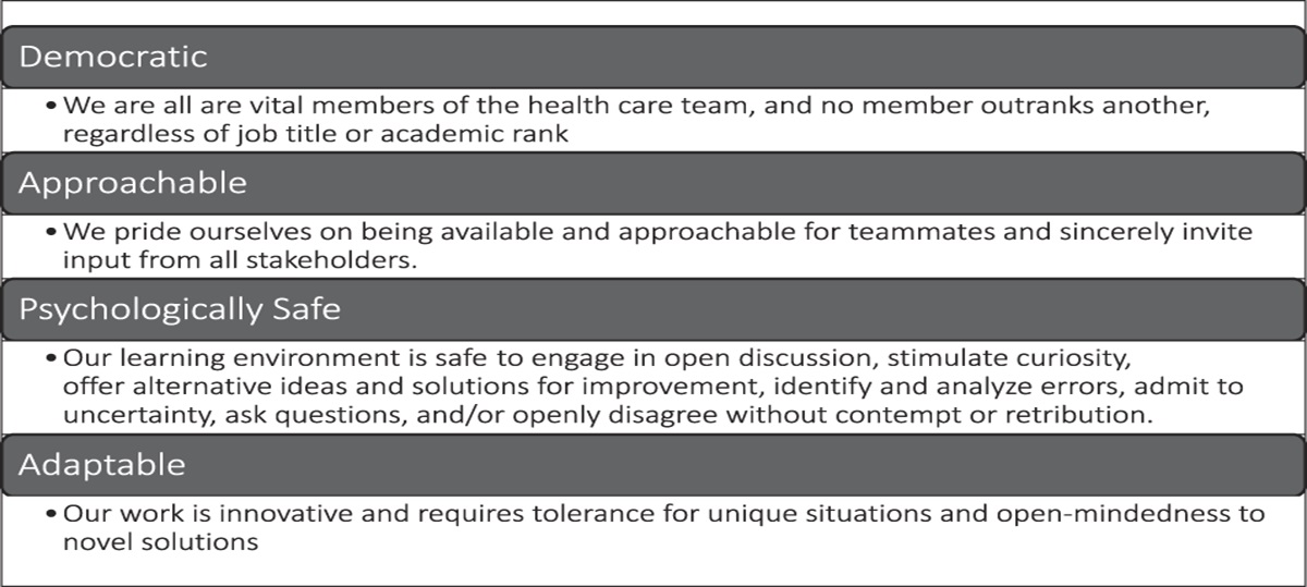 Interprofessional Case Conference Enhances Group Learning and the Quality, Safety, Value, and Equity of Team-Based Care