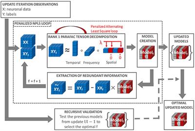 Online adaptive group-wise sparse Penalized Recursive Exponentially Weighted N-way Partial Least Square for epidural intracranial BCI