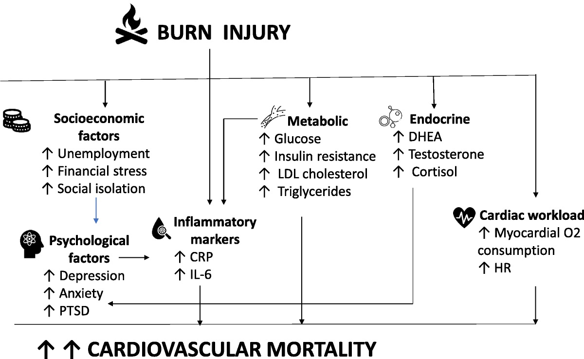 Cardiovascular mortality post burn injury