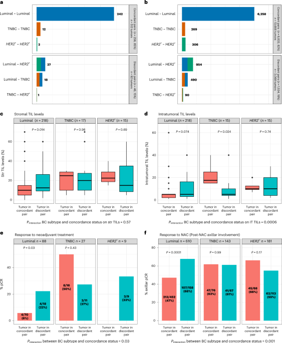 Evolution of synchronous female bilateral breast cancers and response to treatment