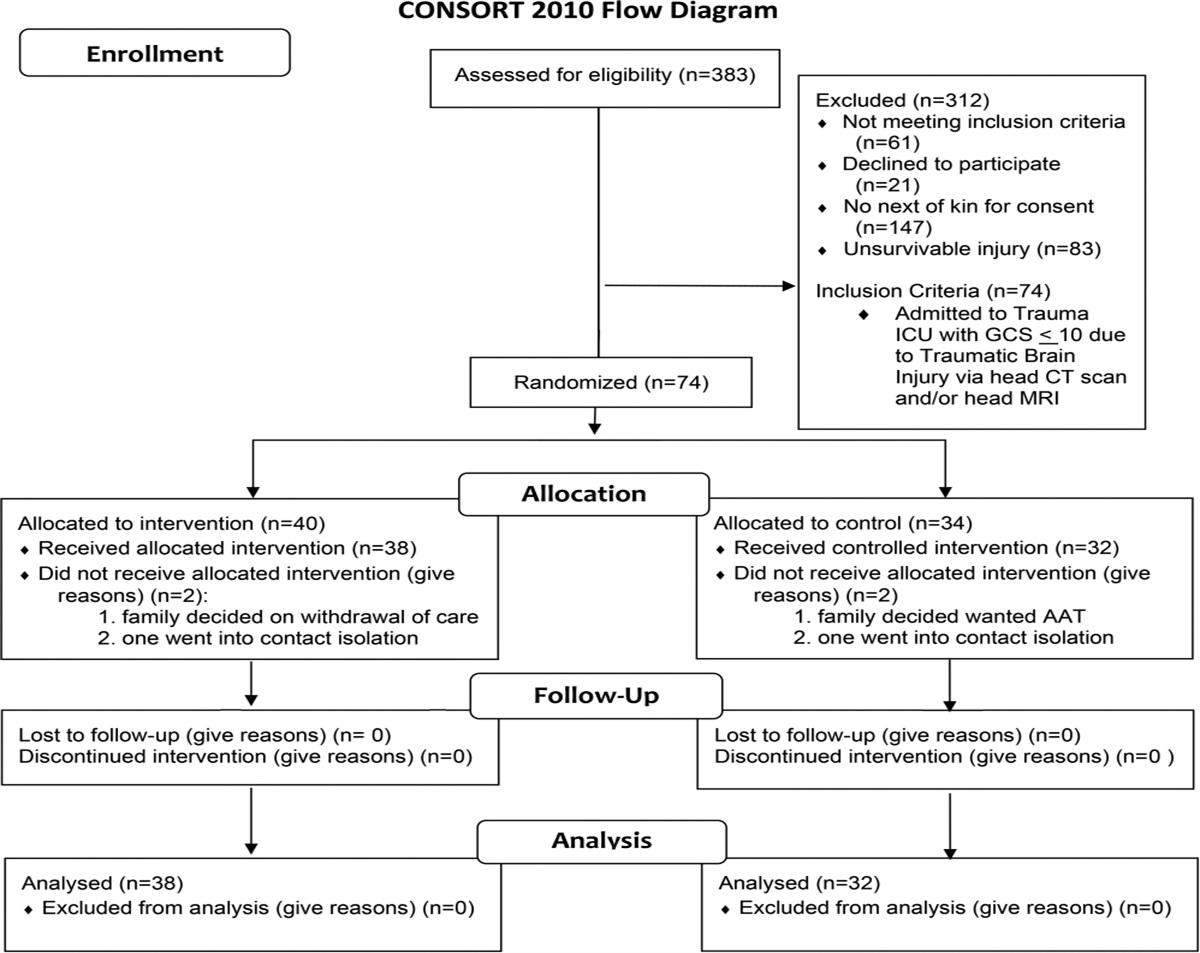 Efficacy of Animal-Assisted Therapy in Treatment of Patients With Traumatic Brain Injury: A Randomized Trial