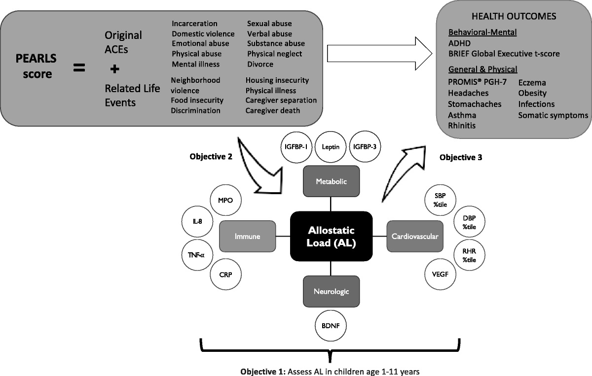 Biological Burden of Adverse Childhood Experiences in Children