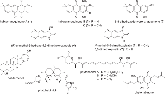Species-specific secondary metabolism by actinomycetes of the genus Phytohabitans and discovery of new pyranonaphthoquinones and isatin derivatives
