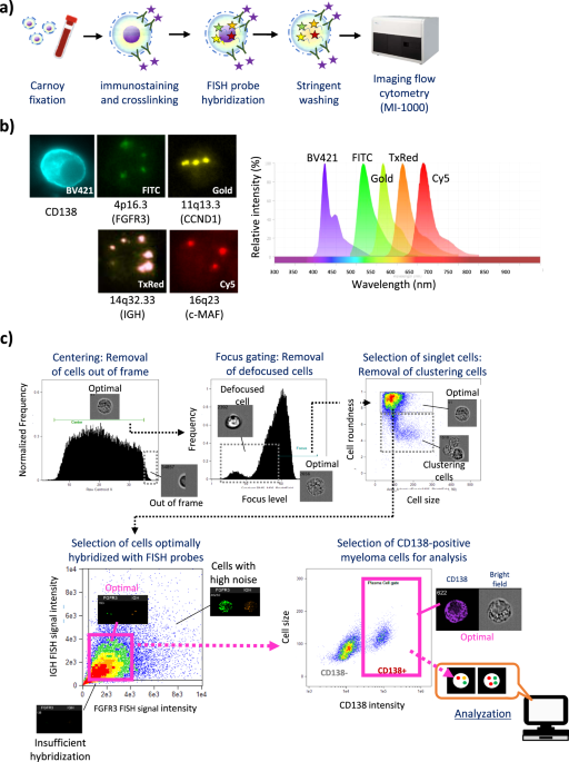 Imaging flow cytometry-based multiplex FISH for three IGH translocations in multiple myeloma