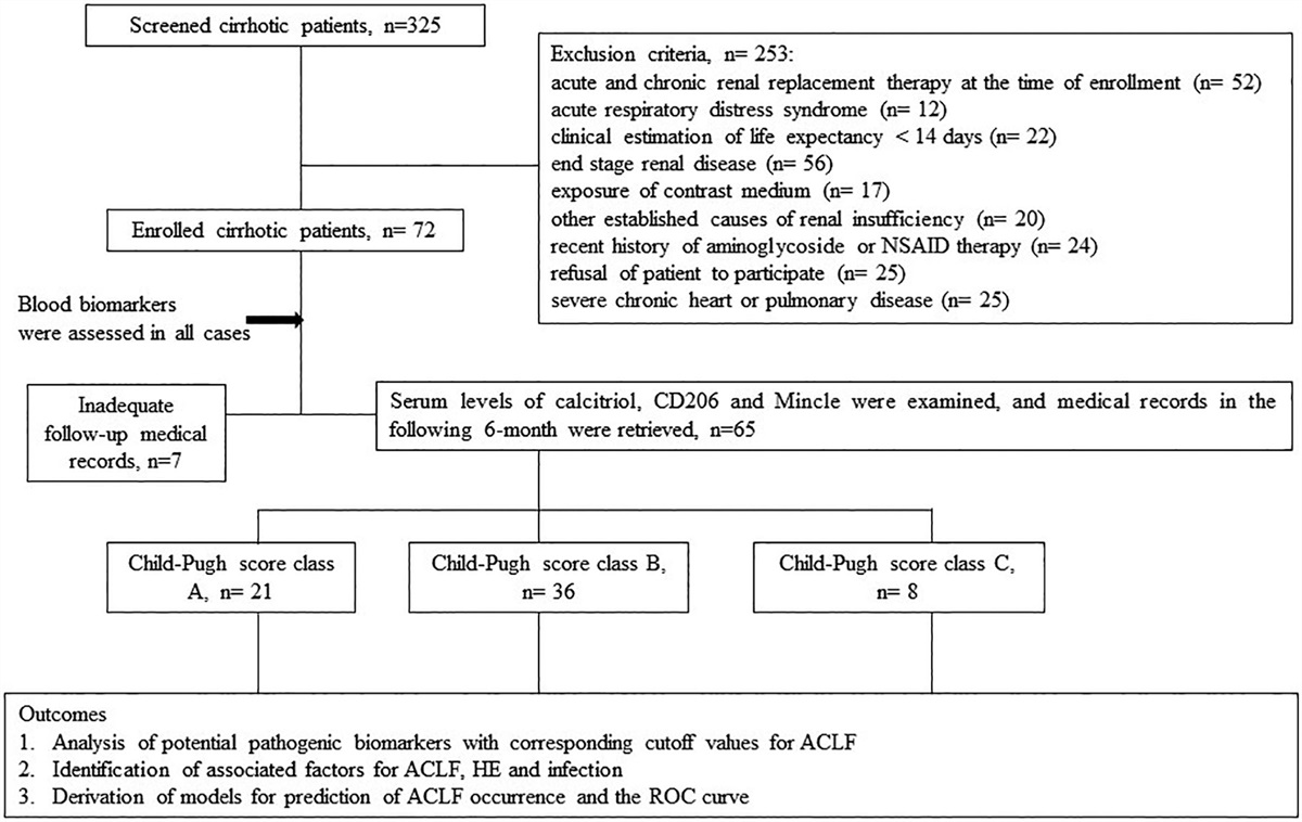 Low lymphocyte-to-monocyte ratio, calcitriol level, and CD206 level predict the development of acute-on-chronic liver failure in patients cirrhosis with acute decompensation