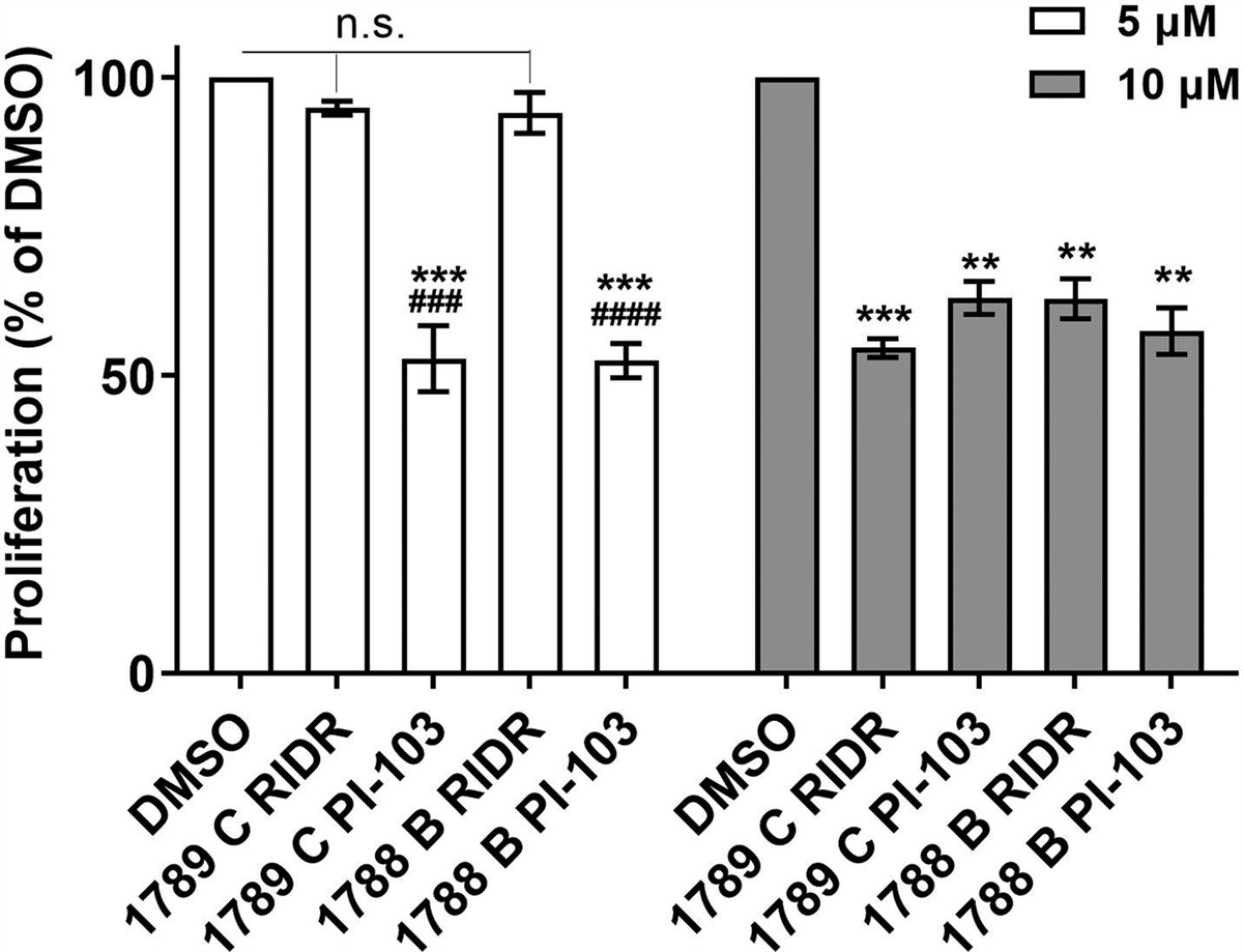 RIDR-PI-103, ROS-activated prodrug PI3K inhibitor inhibits cell growth and impairs the PI3K/Akt pathway in BRAF and MEK inhibitor-resistant BRAF-mutant melanoma cells