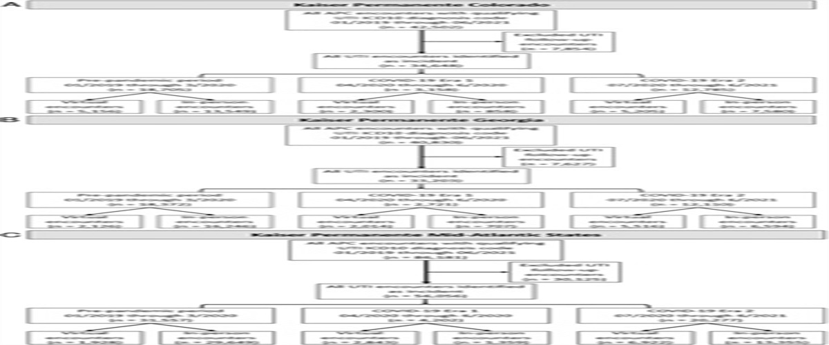 Virtual Care and Urinary Tract Infection Management: Comparing Ancillary Service Orders and Patient Order Fulfillments Between Virtual and In-person Encounters During the COVID-19 Pandemic in the United States