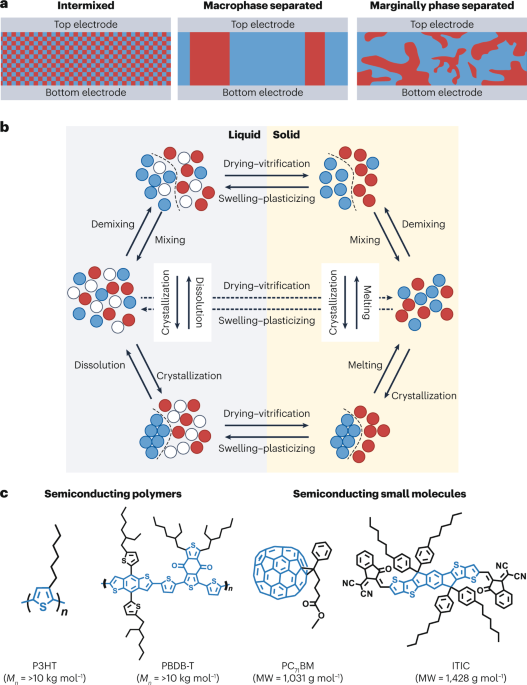 A materials physics perspective on structure–processing–function relations in blends of organic semiconductors