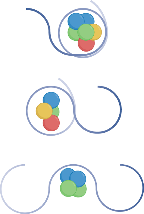 Cytosol-to-nucleus journey of a novel histone PTM