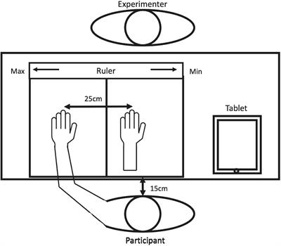 Facial feedback effect on the sense of body ownership during the rubber hand illusion