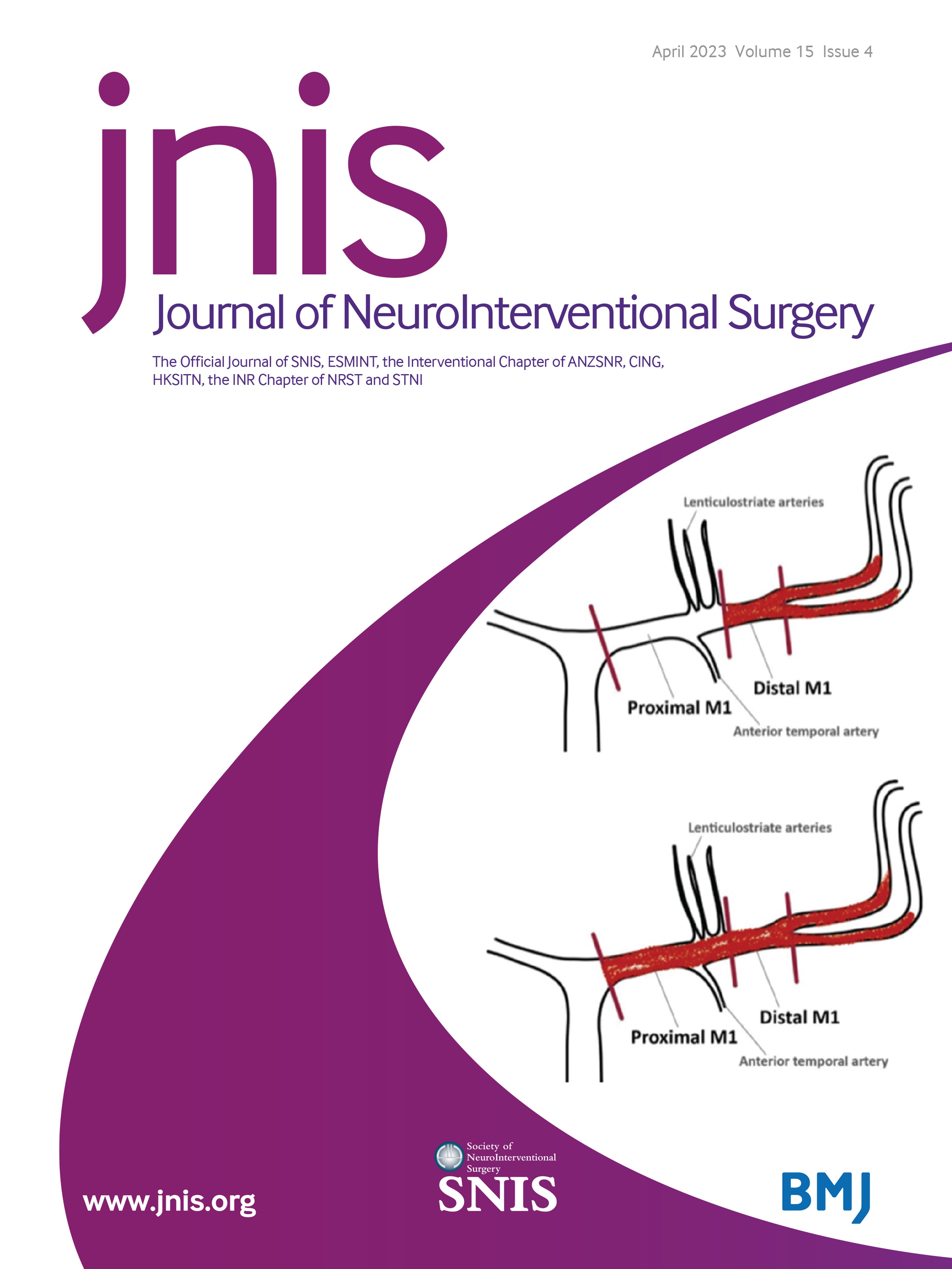 Antithrombotic therapies for neurointerventional surgery: a 2021 French comprehensive national survey
