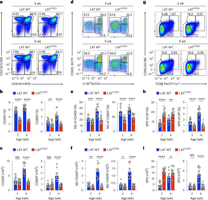A single-amino acid substitution in the adaptor LAT accelerates TCR proofreading kinetics and alters T-cell selection, maintenance and function