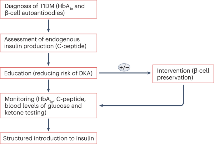 A perspective on treating type 1 diabetes mellitus before insulin is needed