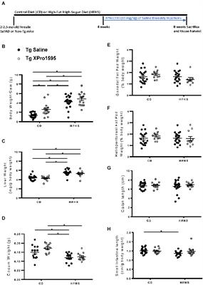Soluble TNF mediates amyloid-independent, diet-induced alterations to immune and neuronal functions in an Alzheimer’s disease mouse model