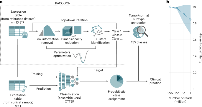 Diagnostic classification of childhood cancer using multiscale transcriptomics