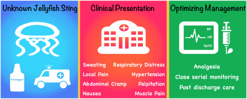 Managing an Unidentified Jellyfish Sting with Mixed Envenomation Syndrome at a Noncoastal Hospital: Is This a New Form of Jellyfish Envenomation?