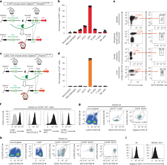 Novel mouse models based on intersectional genetics to identify and characterize plasmacytoid dendritic cells