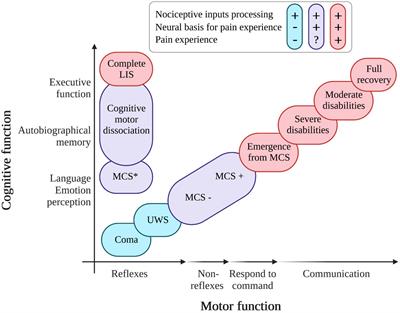 Assessment and management of pain/nociception in patients with disorders of consciousness or locked-in syndrome: A narrative review